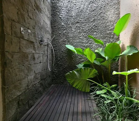 Pensión Gekkos 3*